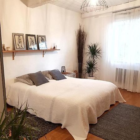 Chambre D Hotes "Lilimyna" Avec Petit Dejeuner バルジョル エクステリア 写真