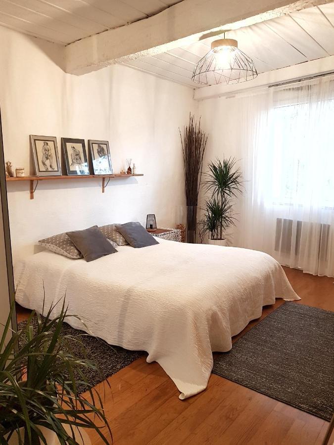 Chambre D Hotes "Lilimyna" Avec Petit Dejeuner バルジョル エクステリア 写真